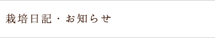 作業日記、最新情報